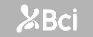 Logo_BCI_190x75_gris